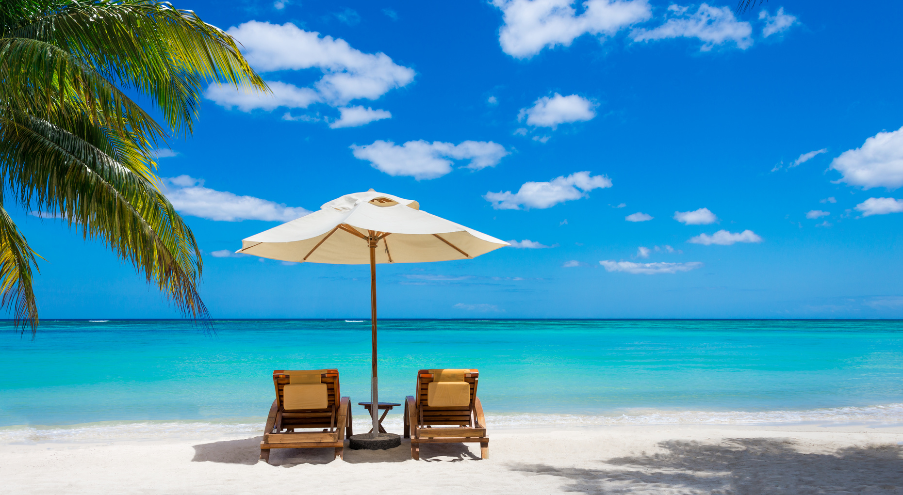 Tropical-Beach-Palm-Trees-Ocean-2-Chairs